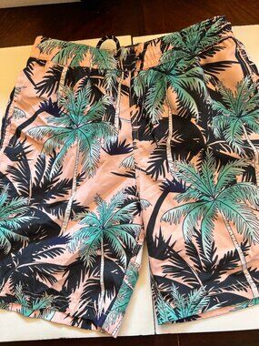 Spicy Tuna Swim Trunks Board Shorts